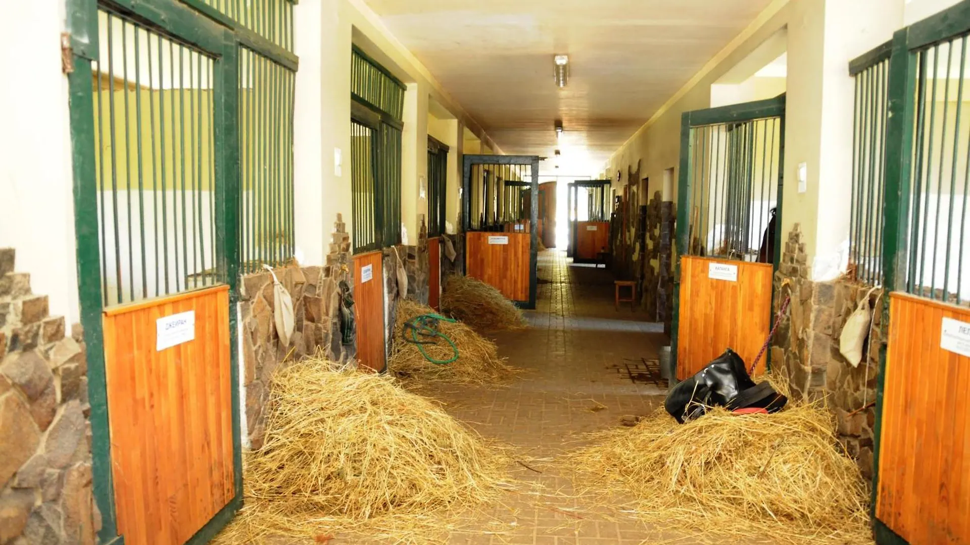 Buhta Vikingiv Hotel Vodniki