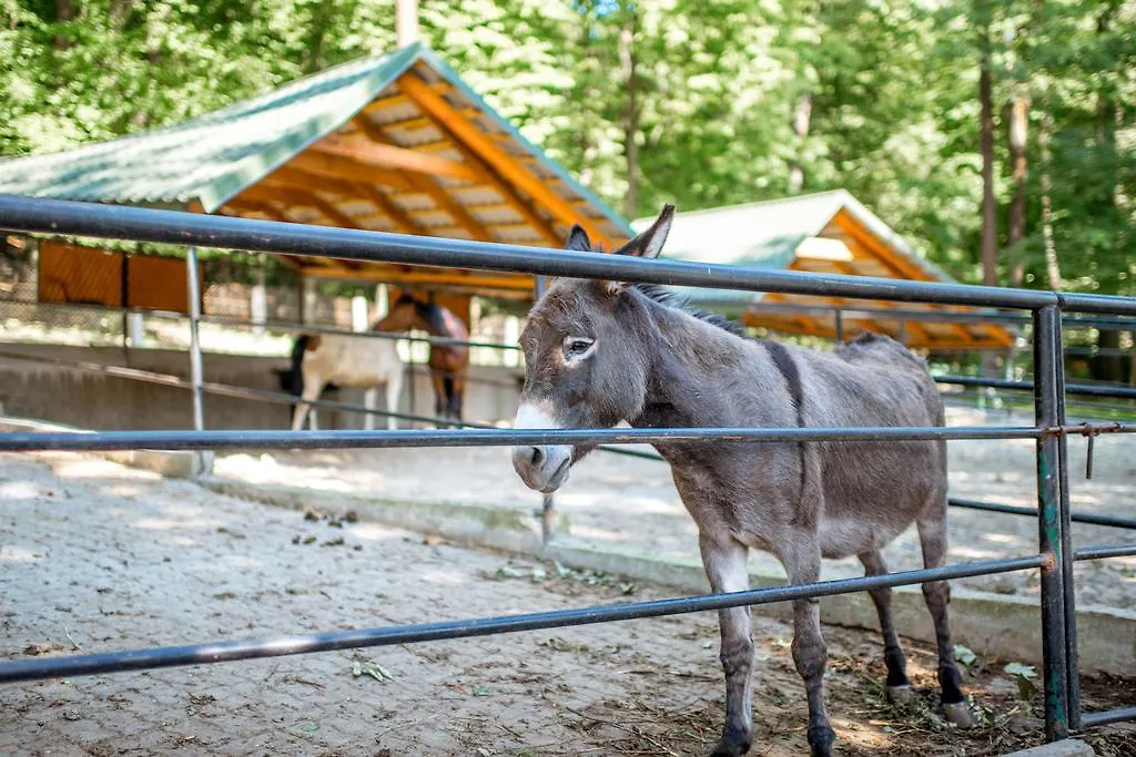Buhta Vikingiv Hotel Vodniki